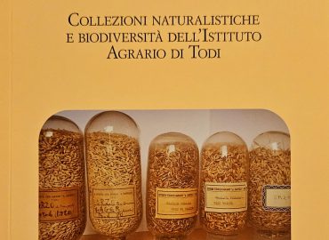 Nuovo volume della collana “Scuola ed educazione in Umbria”